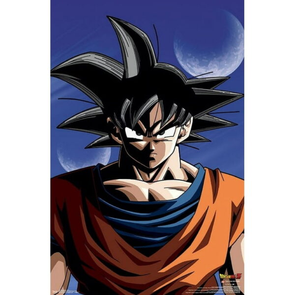 Dragon Ball Z Goku Poster Print (22 x 34) WA07062287