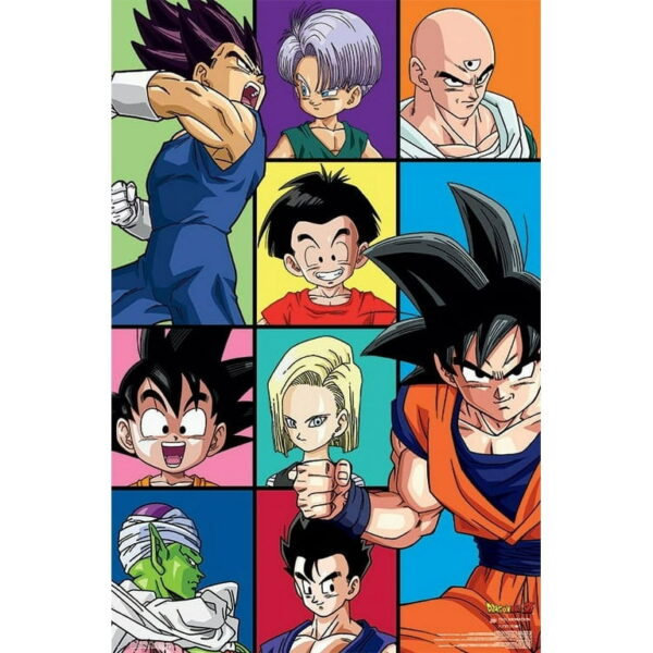 Dragon Ball Z Grid Poster Print (22 x 34) PO11062381
