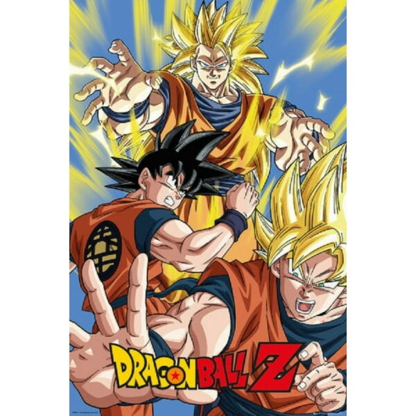 Goku Laminated Poster (24 x 36) PO11062010