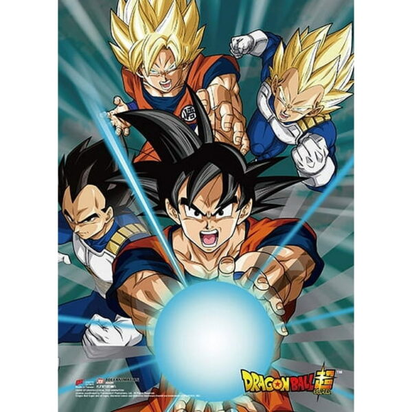 Goku & Vegeta Forms Wall Scroll Poster PO11062299