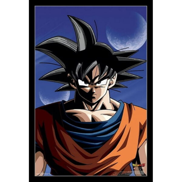 One Piece & Dragon Ball Crossover Canvas Painting PO11062170