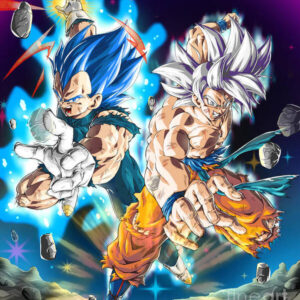 Ultra Instinct Songoku and Vegeta Blue Art Print TA10062145